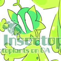 Thumbnail for TB-2433