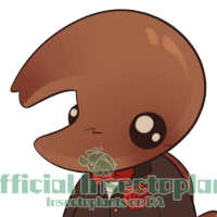 Thumbnail for tb-2797: Lil Guy