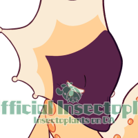 Thumbnail for tb-2912