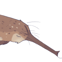 Thumbnail for TB-3283: Kiwi
